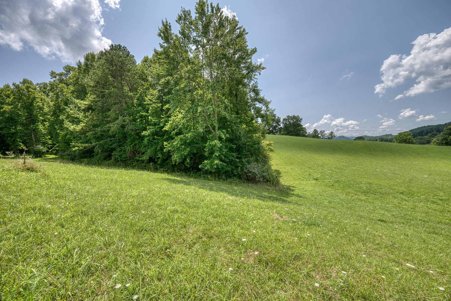 13869 Highway 67 West Butler, TN 37640 - Photo 49 of 63 13869 HWY 67 W 49