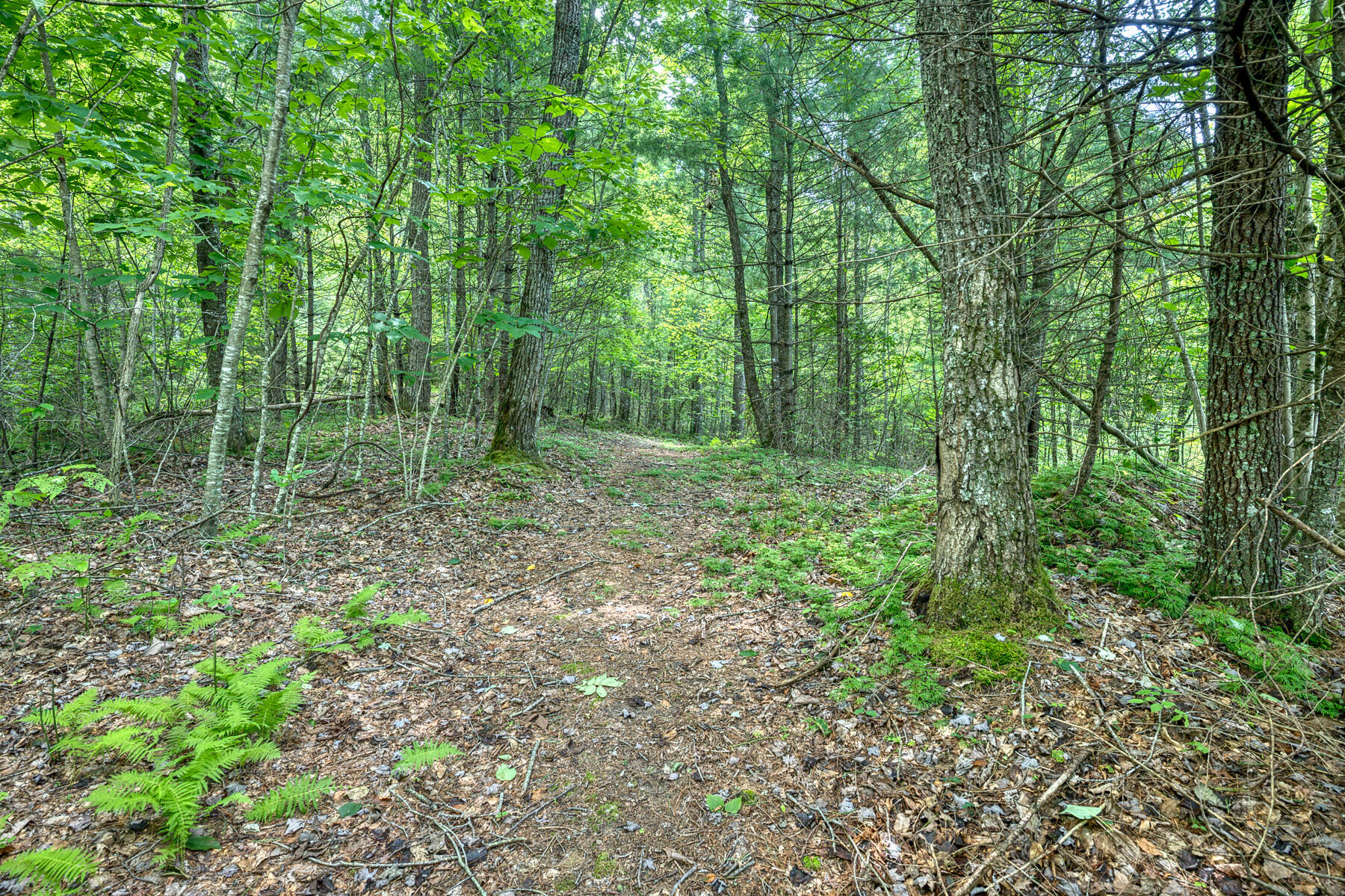 13869 Highway 67 West Butler, TN 37640 - Photo 54 of 63 13869 HWY 67 W 54