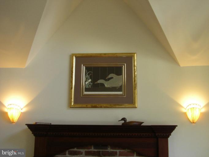 1003 Travers Street Cambridge, MD 21613 - Photo 16 of 30 Family Room mantel