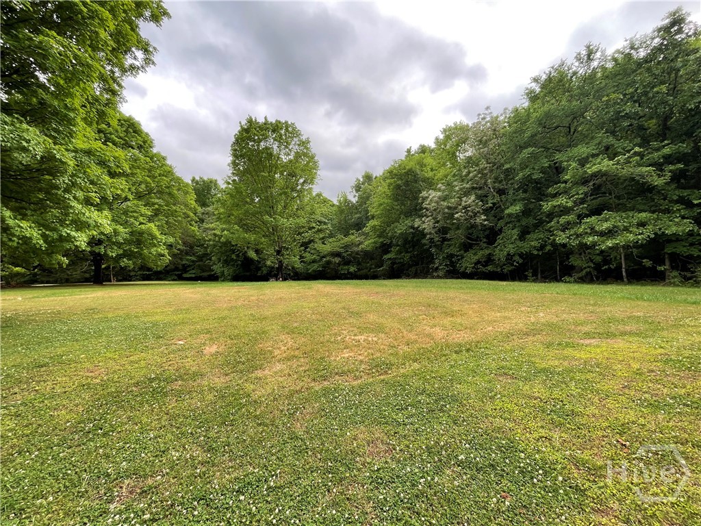 837 Bartram Trace Road Rayle, GA 30660 - Photo 64 of 70 Yard