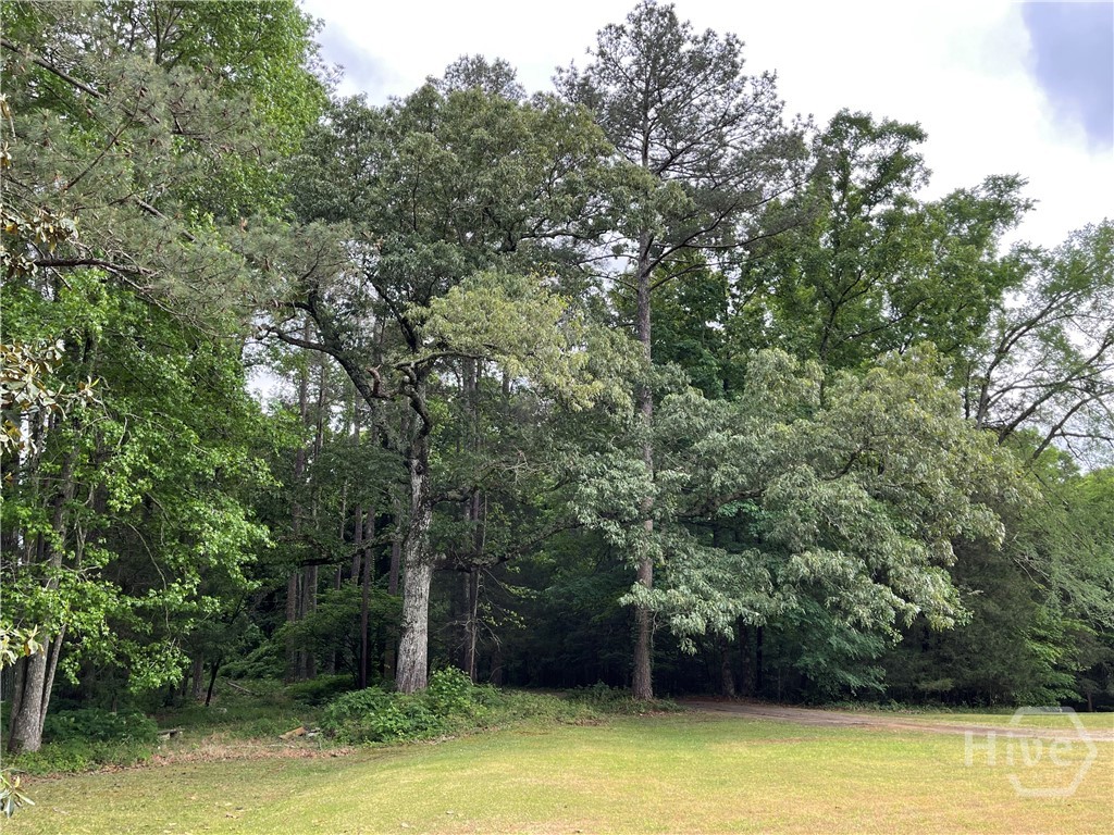 837 Bartram Trace Road Rayle, GA 30660 - Photo 65 of 70 Woods/yard