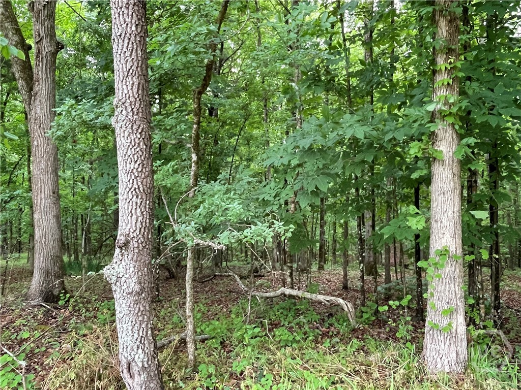 837 Bartram Trace Road Rayle, GA 30660 - Photo 67 of 70 Woods