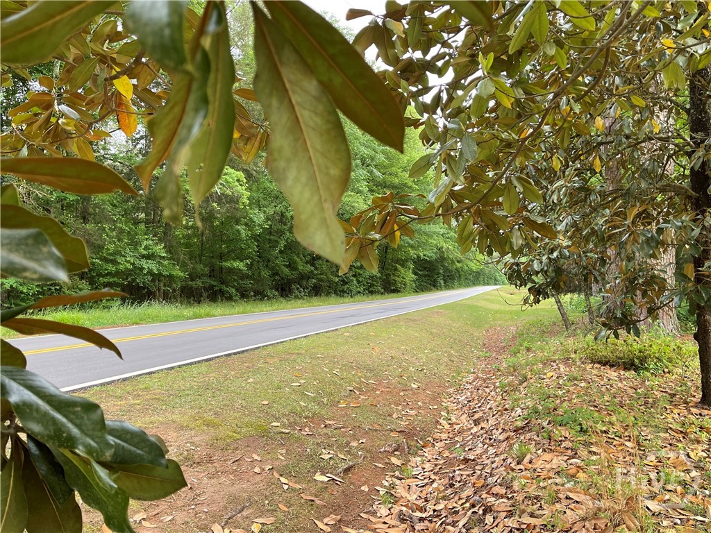 837 Bartram Trace Road Rayle, GA 30660 - Photo 70 of 70 View to the road
