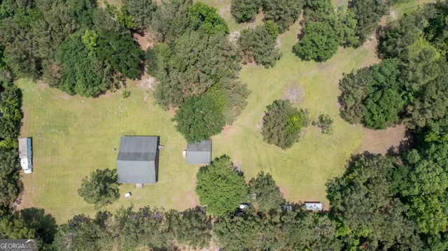 a view of a tree in a field