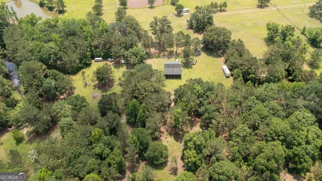 a body of water with a tree in the background