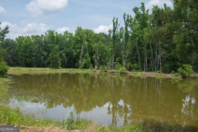 $889,000 | 2165 Owens Ferry Road, White Oak, GA 31568