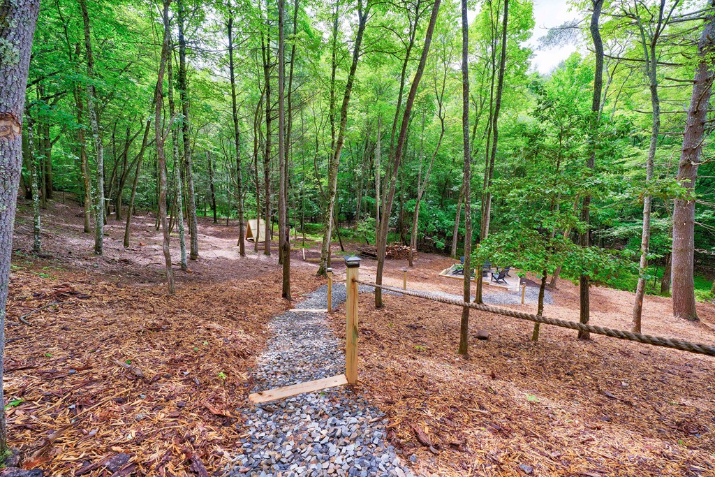 60 Bridle Path Morganton, GA 30560 - Photo 38 of 52 Gallery Image 38