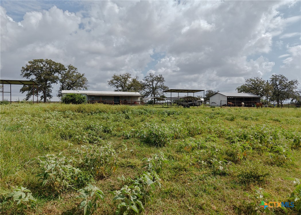334 Johnson Farms Road Harwood, TX 78632 - Photo 6 of 24 Gallery Image 6