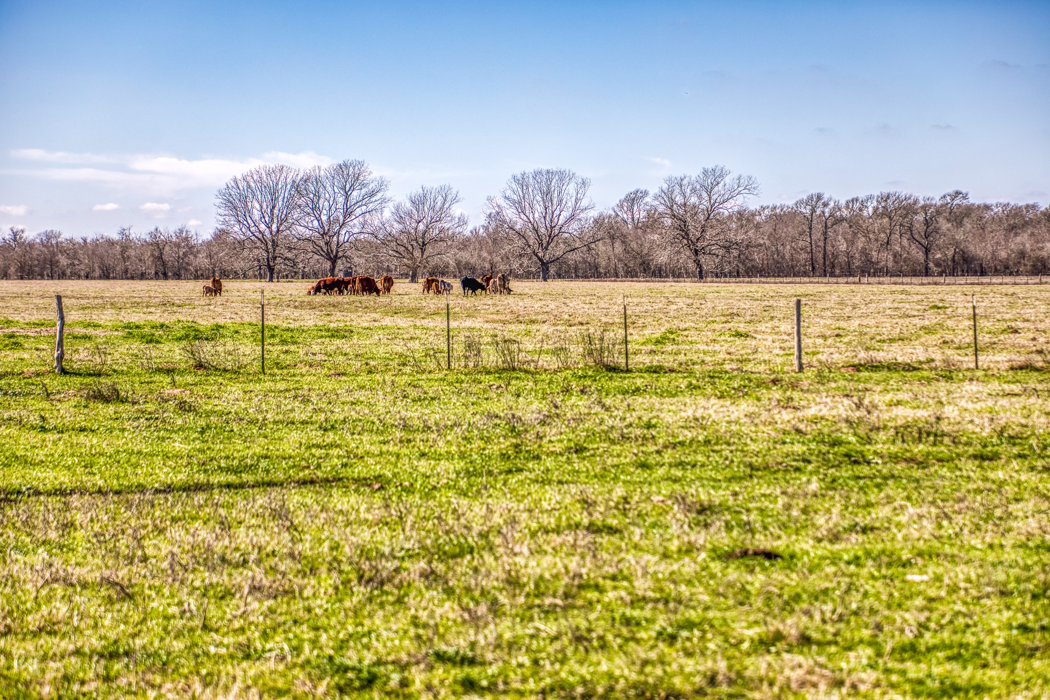 0 Steck Bottom Road Sealy, TX 77474 - Photo 11 of 15 a view of a lake with houses in the back