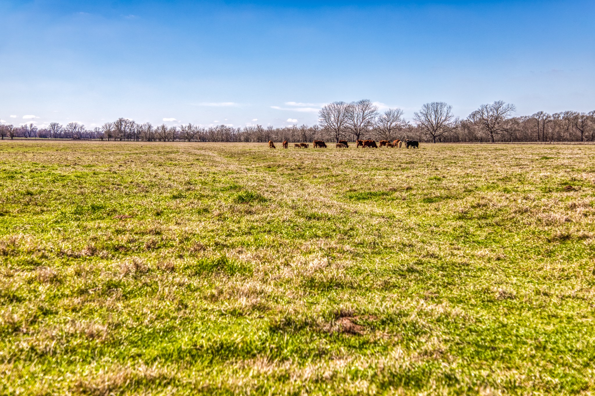 0 Steck Bottom Road Sealy, TX 77474 - Photo 14 of 15 a view of an ocean