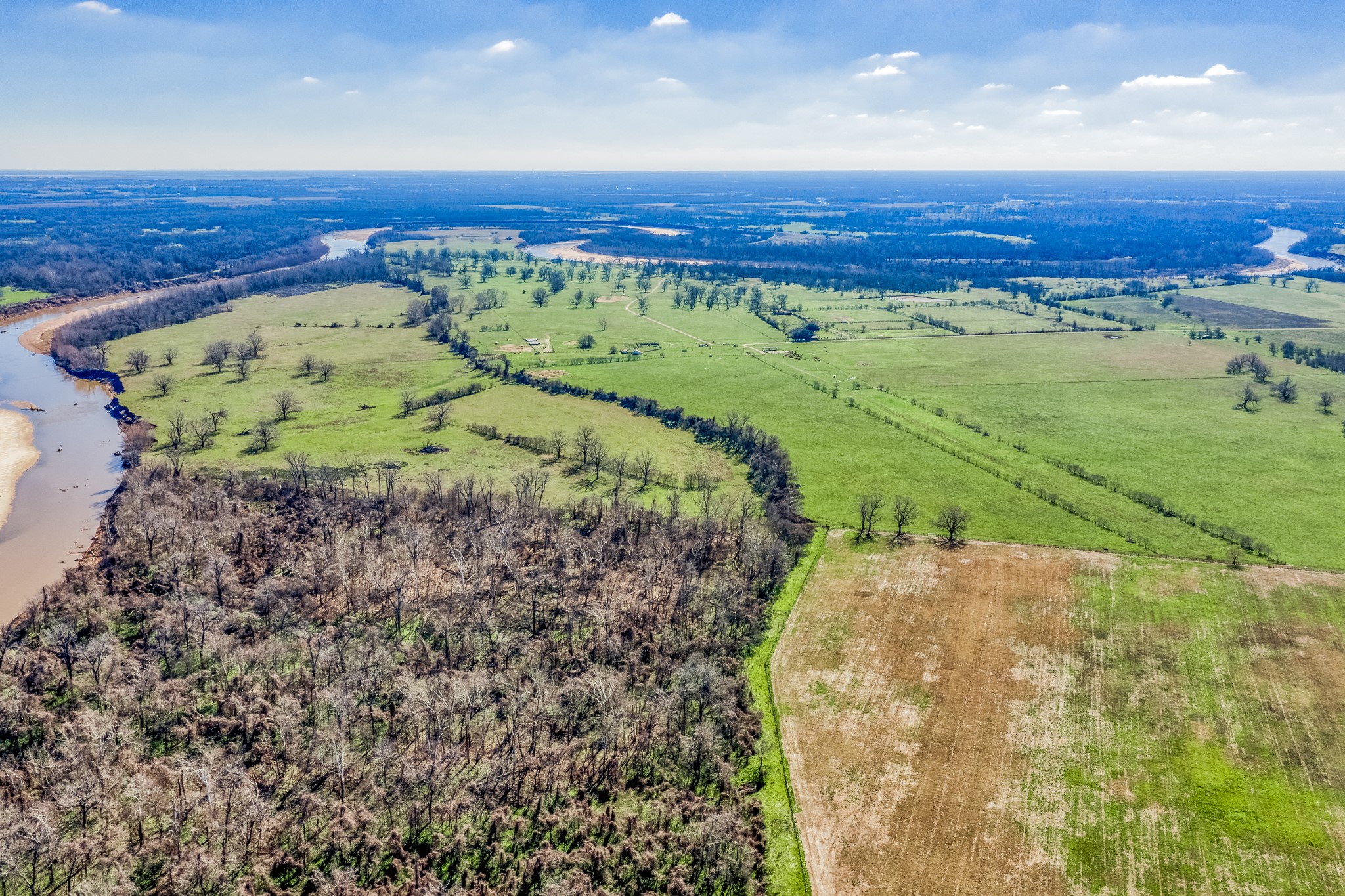0 Steck Bottom Road Sealy, TX 77474 - Photo 3 of 15 a view of a yard with a forest