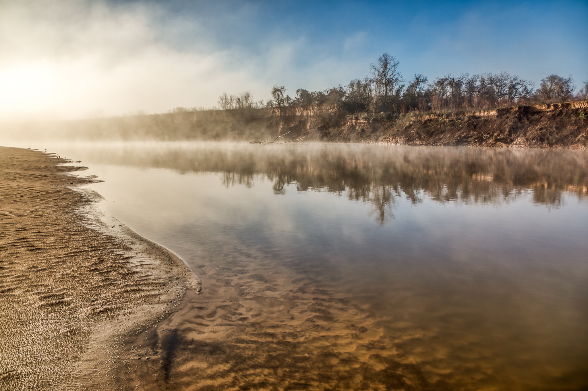 0 Steck Bottom Road Sealy, TX 77474 - Photo 8 of 15