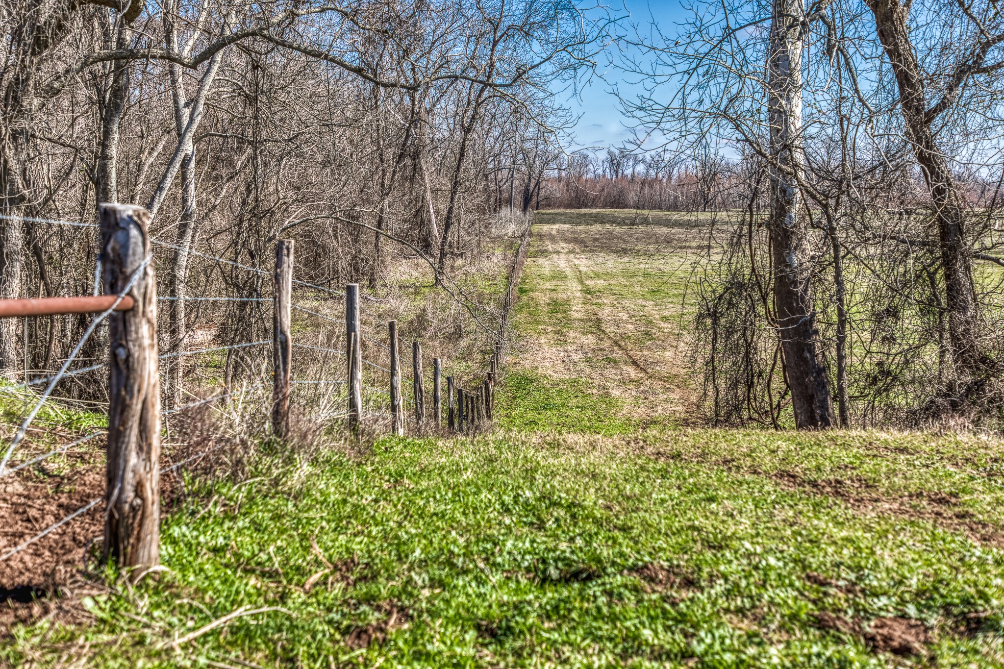 0 Steck Bottom Road Sealy, TX 77474 - Photo 10 of 15 a view of a yard with large trees
