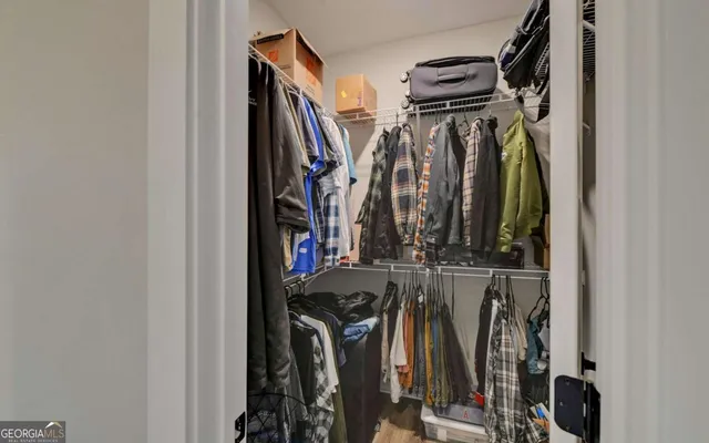 a view of a street with potted plants and a large tree
