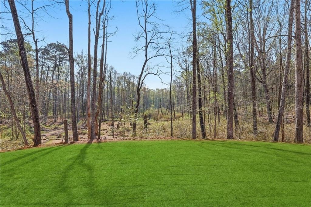 2013 Seclusion Trail Monroe, GA 30656 - Photo 60 of 63 a garden view