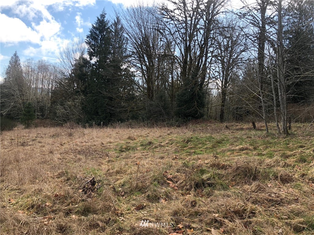 28-xx Cemetary Road Quilcene, WA 98376 - Photo 1 of 12