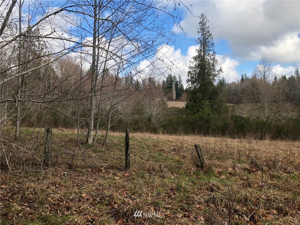 28-xx Cemetary Road Quilcene, WA 98376 - Photo 2 of 12