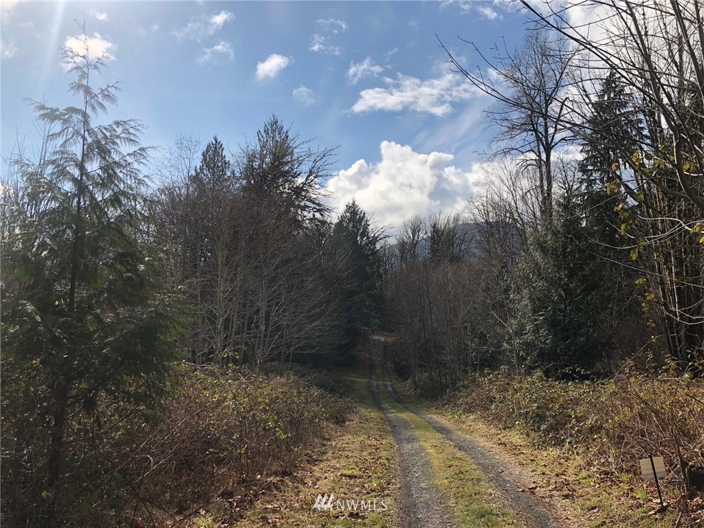 28-xx Cemetary Road Quilcene, WA 98376 - Photo 11 of 12