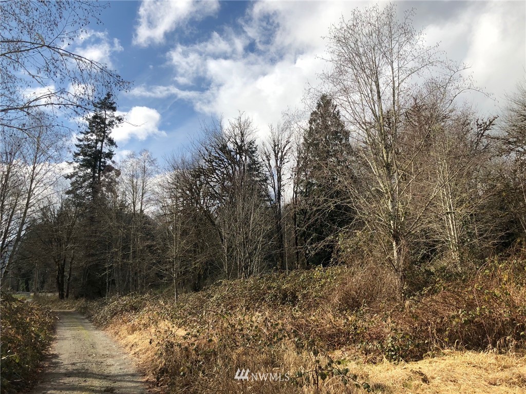 28-xx Cemetary Road Quilcene, WA 98376 - Photo 12 of 12