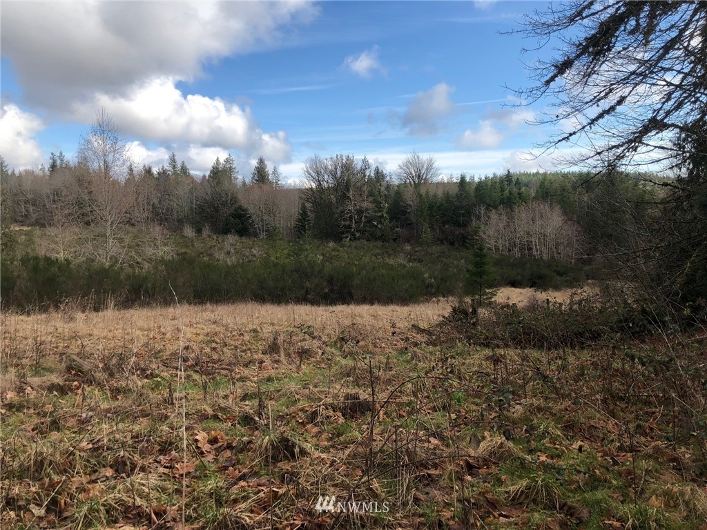28-xx Cemetary Road Quilcene, WA 98376 - Photo 3 of 12