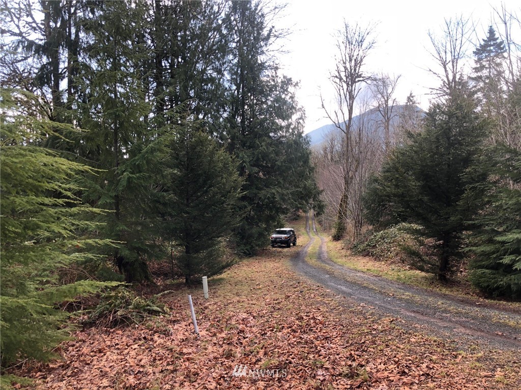 28-xx Cemetary Road Quilcene, WA 98376 - Photo 4 of 12