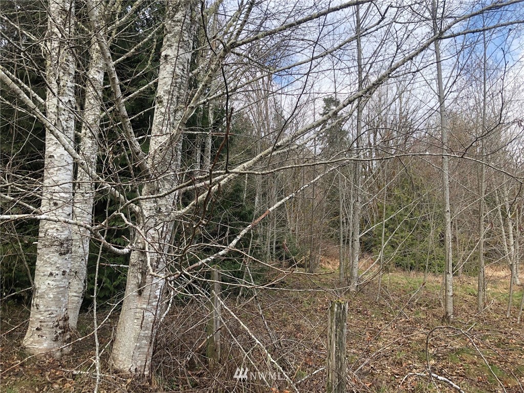28-xx Cemetary Road Quilcene, WA 98376 - Photo 6 of 12