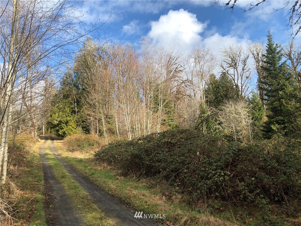28-xx Cemetary Road Quilcene, WA 98376 - Photo 10 of 12