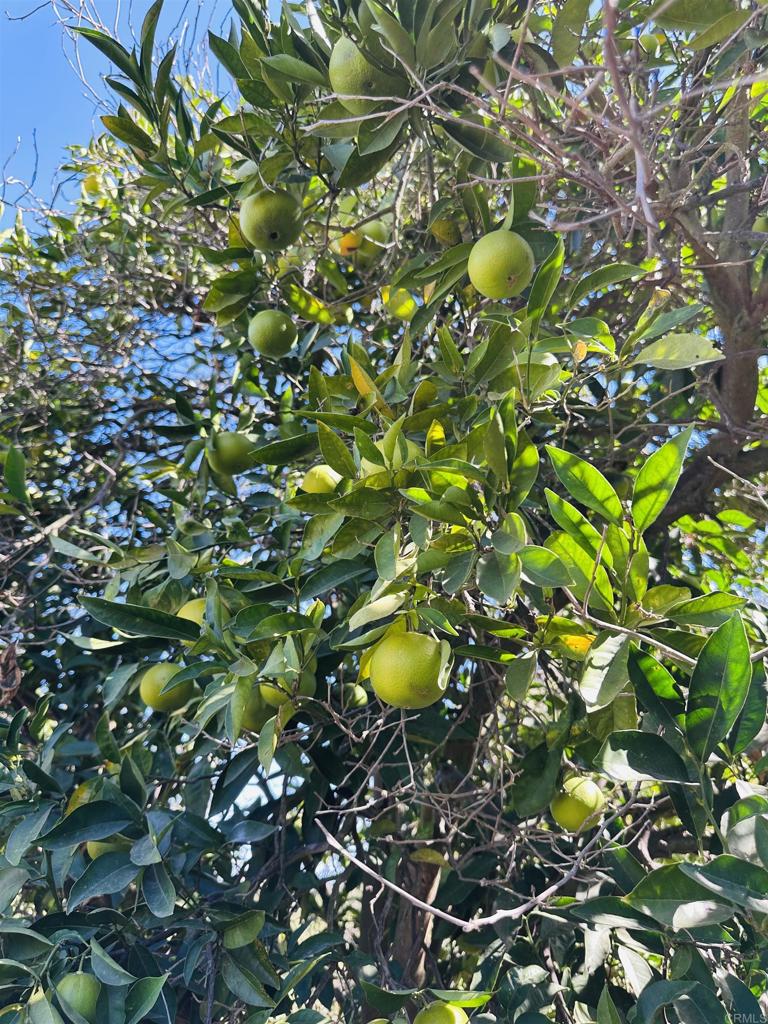 30409 Disney Lane Vista, CA 92084 - Photo 8 of 21