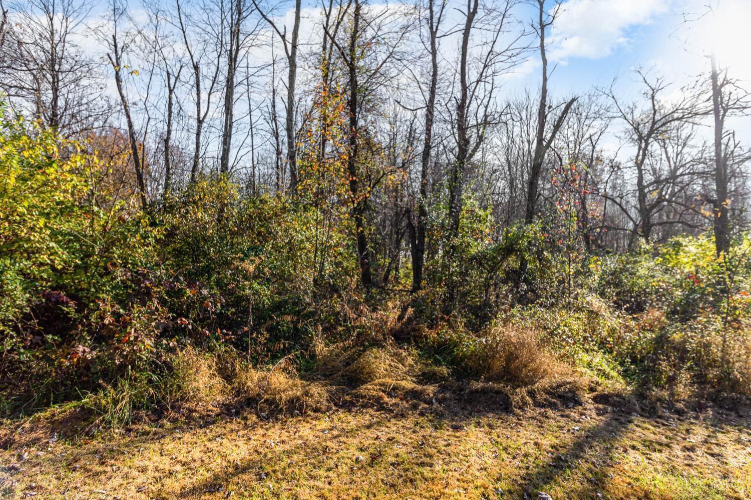 0 Lewis Road Amelia, OH 45102 - Photo 13 of 16 Gallery Image 13