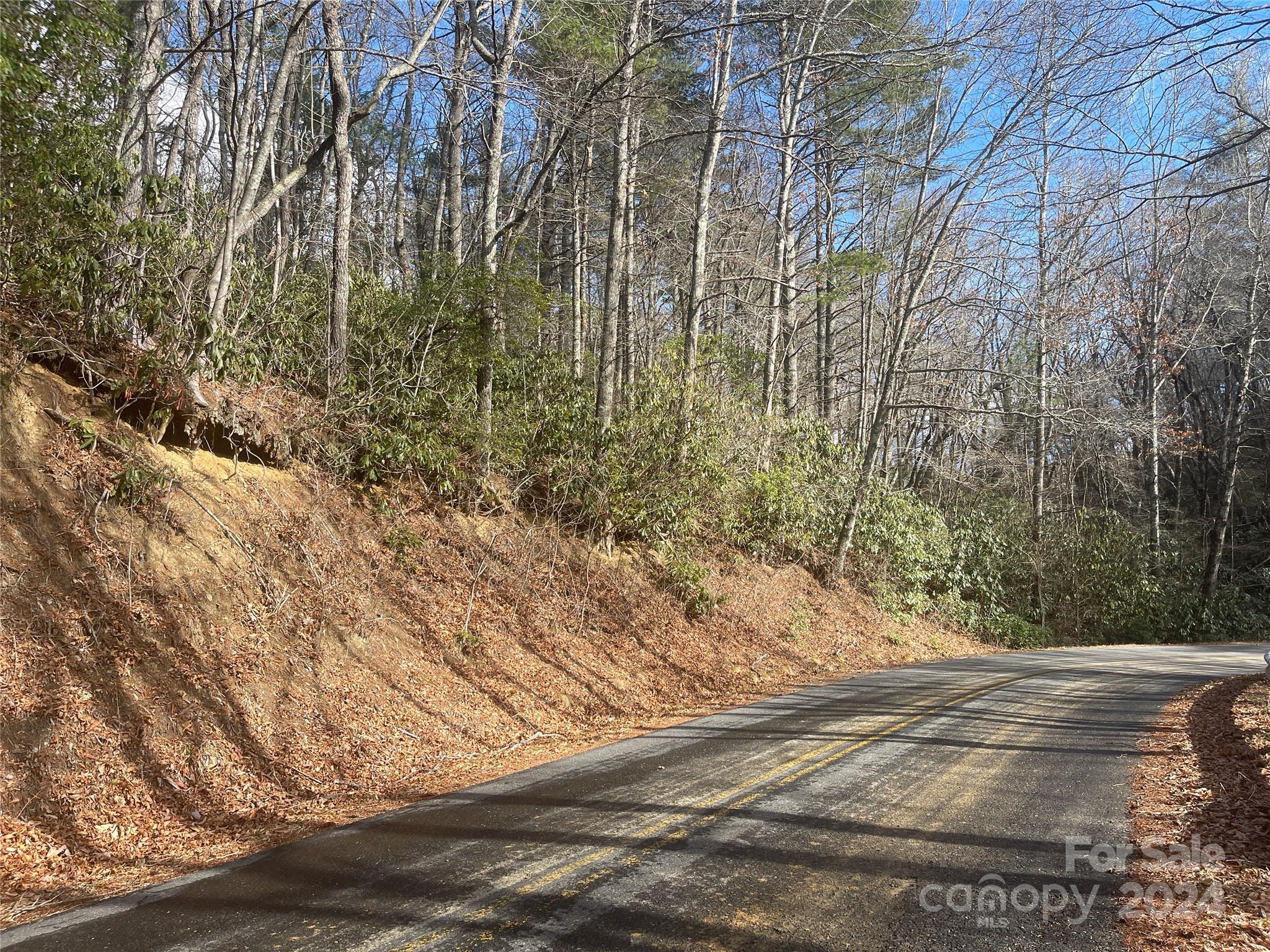 Tbd Tbd Severt Road West Jefferson, NC 28694 - Photo 2 of 7 a view of a backyard of the house