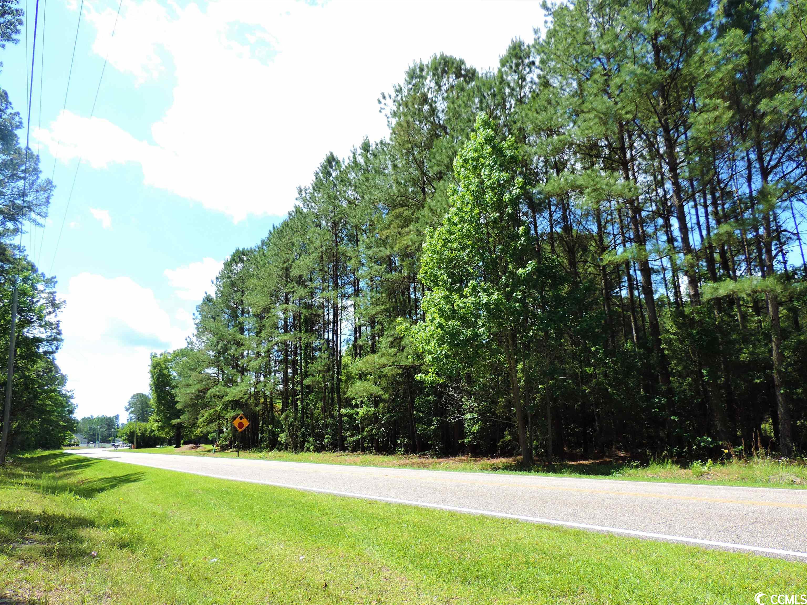 Tba Old Buck Creek Road Longs, SC 29568 - Photo 1 of 5 Gallery Image 1
