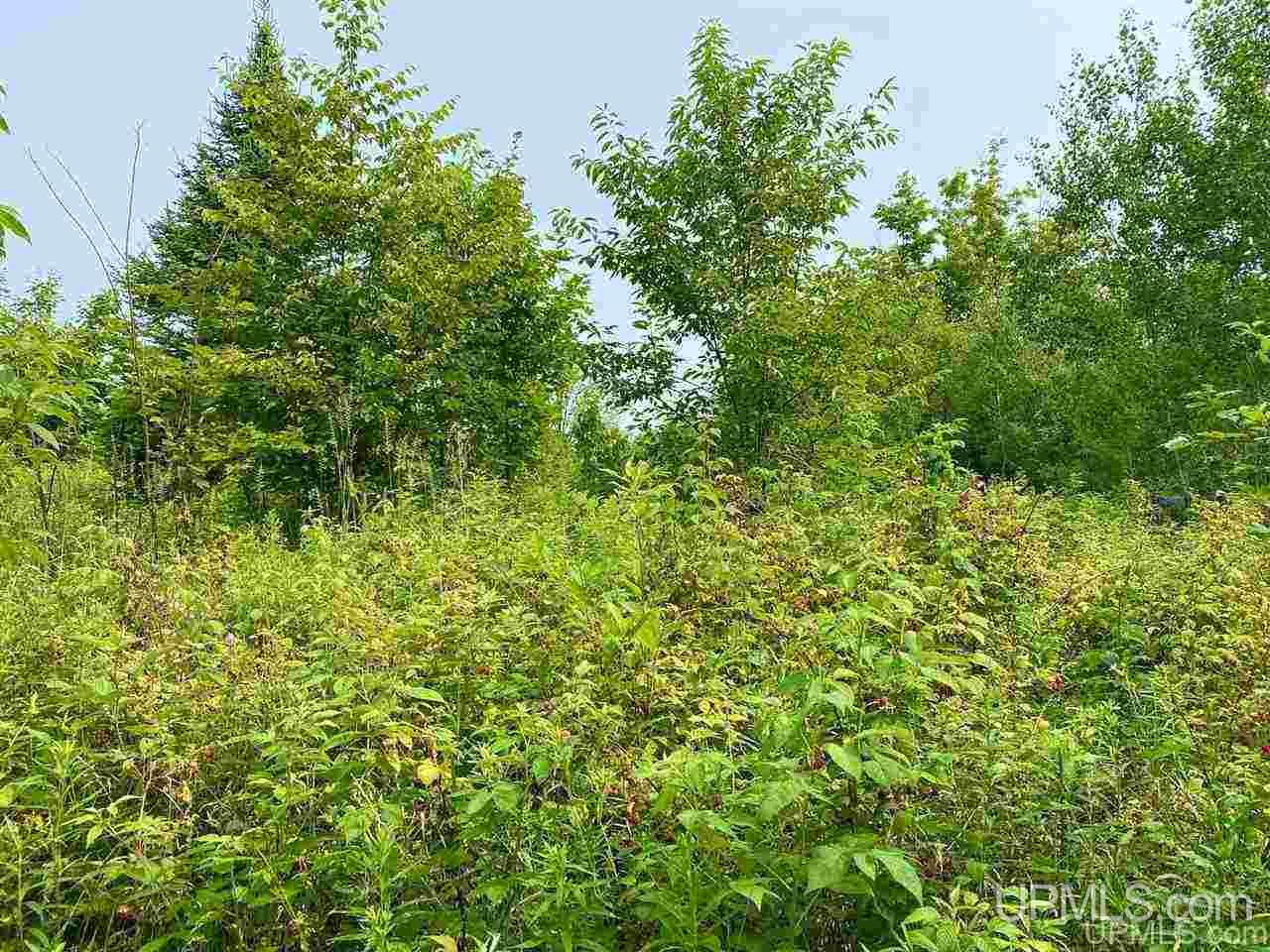 Tbd Southside Road Manistique, MI 49854 - Photo 25 of 36 Gallery Image 25