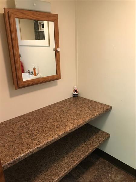 2067 Borland Road Pittsburgh, PA 15243 - Photo 14 of 21 Powder room on LL ( new shelving and medicine cabinet )