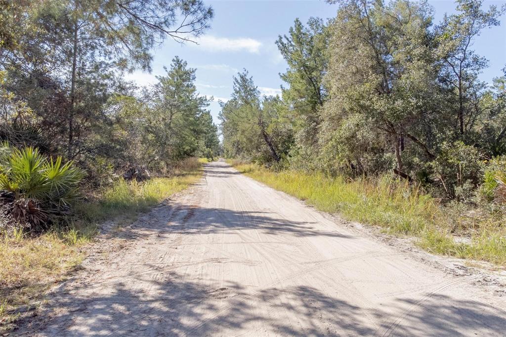 736 Keelhaul Road Osteen, FL 32764 - Photo 4 of 31 a view of a yard with plants and trees