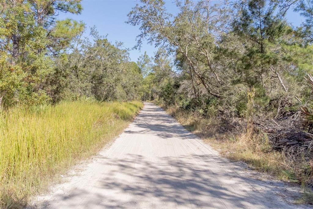 736 Keelhaul Road Osteen, FL 32764 - Photo 5 of 31 a view of a yard with an outdoor space