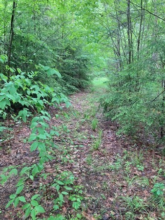 Lot 15.2 Neale Road Royalston, MA 01368 - Photo 2 of 5 Gallery Image 2