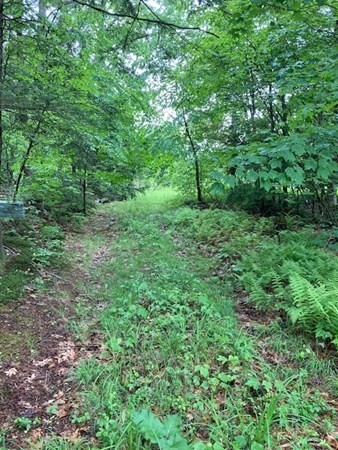 Lot 15.2 Neale Road Royalston, MA 01368 - Photo 3 of 5 Gallery Image 3