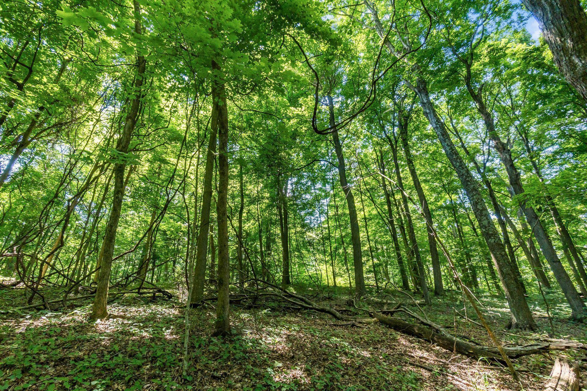 13807 Marshall Road Rockbridge, OH 43149 - Photo 25 of 33