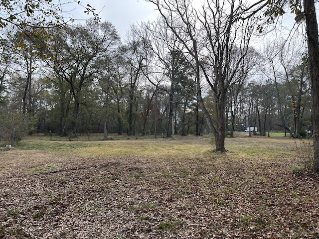 24331 Farm To Market Road 2090 Splendora, TX 77372 - Photo 28 of 38 a view of backyard with green space