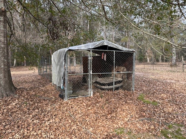 24331 Farm To Market Road 2090 Splendora, TX 77372 - Photo 30 of 38 a backyard of a house with table and chairs