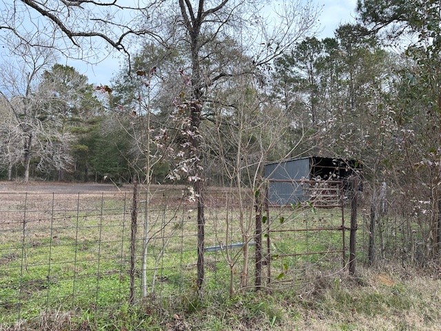 24331 Farm To Market Road 2090 Splendora, TX 77372 - Photo 33 of 38 a backyard of a house with lots of green space and chair