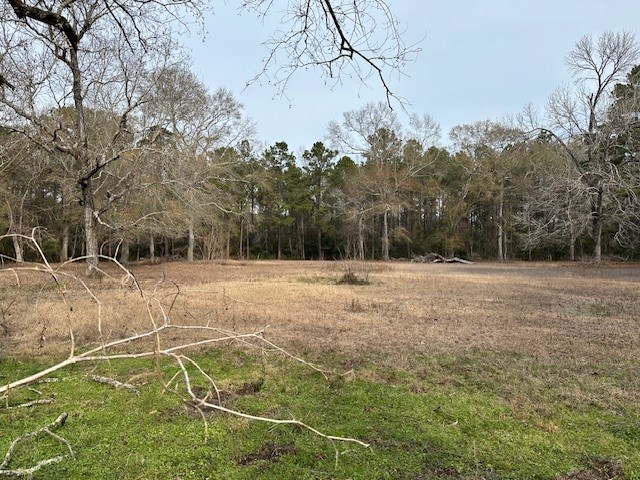 24331 Farm To Market Road 2090 Splendora, TX 77372 - Photo 34 of 38