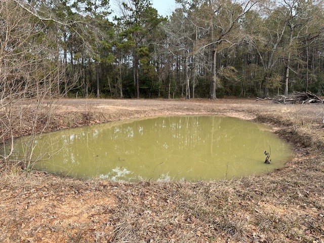 24331 Farm To Market Road 2090 Splendora, TX 77372 - Photo 35 of 38 a view of a swimming pool with a bench