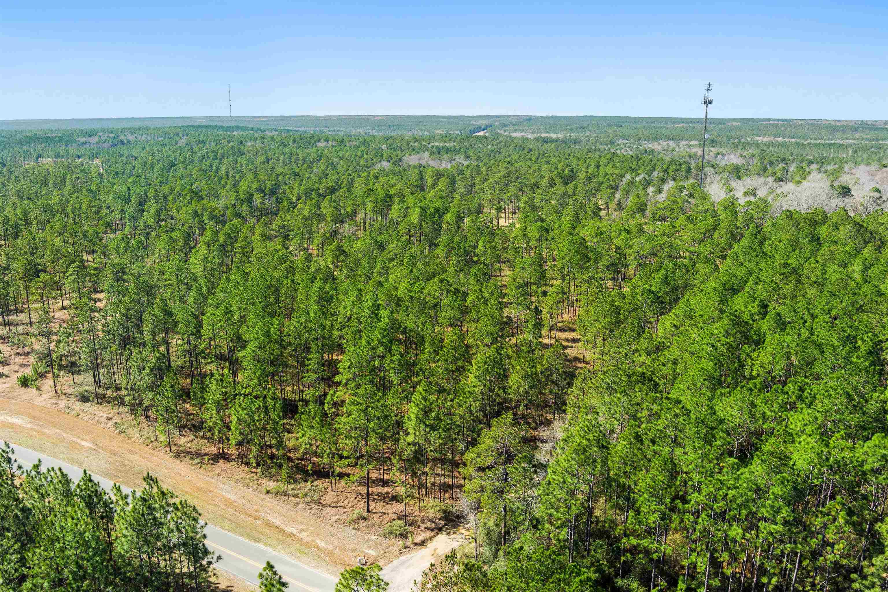 0 Robert White Road Bay Minette, AL 36507 - Photo 20 of 23