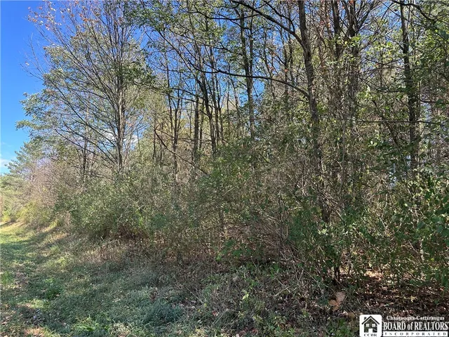 $64,900 | Prill Road, West Valley, NY 14171