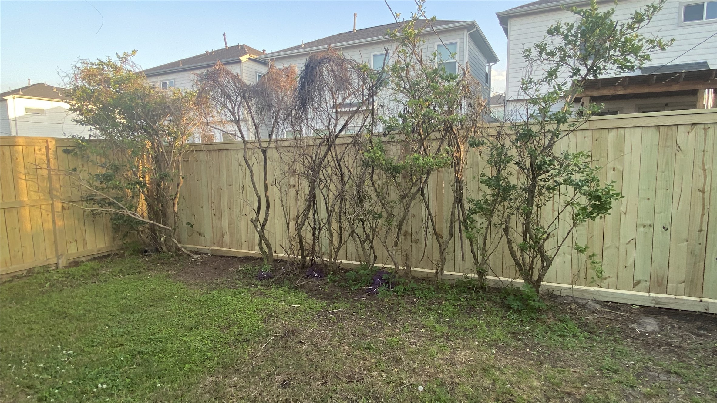6057 Yale Street Houston, TX 77076 - Photo 47 of 49 a backyard of a house with lots of green space and glass windows
