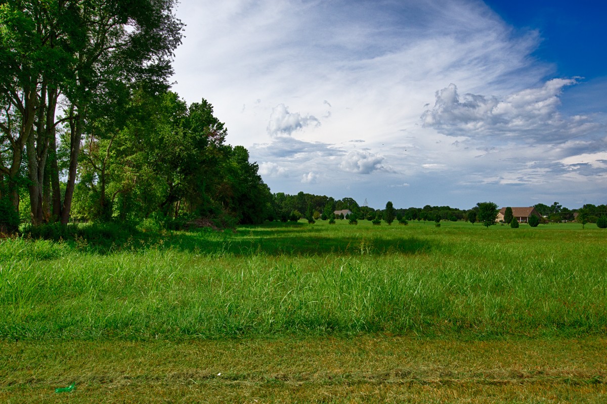 a view of a lake with a yard