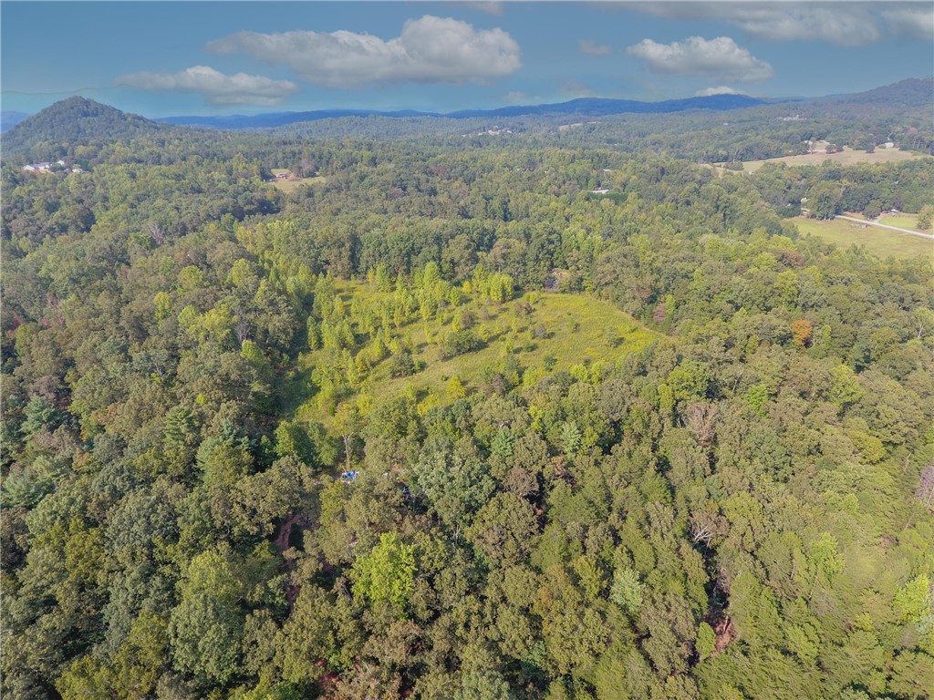 0 Jones Circle Pickens, SC 29671 - Photo 13 of 18