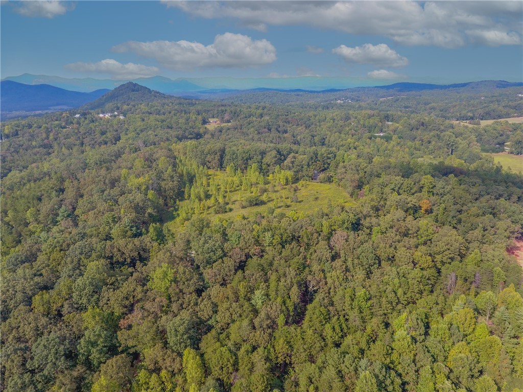 0 Jones Circle Pickens, SC 29671 - Photo 14 of 18