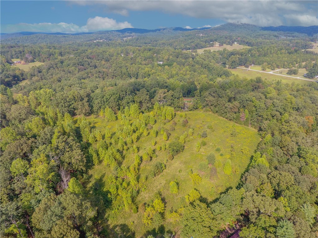 0 Jones Circle Pickens, SC 29671 - Photo 16 of 18